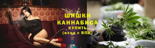трава Коряжма