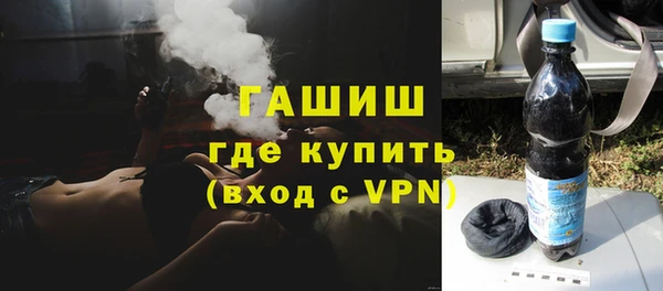 трава Коряжма
