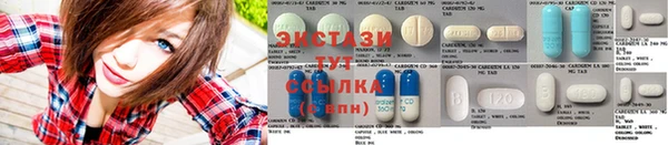 трава Коряжма