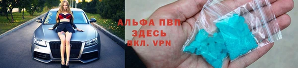 трава Коряжма