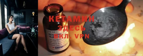 трава Коряжма