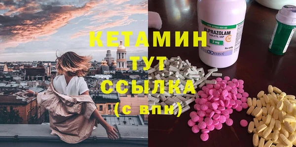 трава Коряжма
