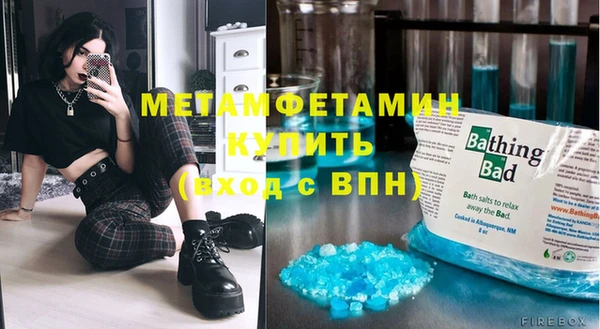 трава Коряжма