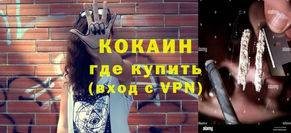 трава Коряжма