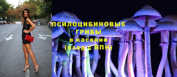 трава Коряжма