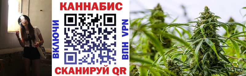 Бошки марихуана марихуана Нижний Новгород